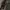 WW 2 Military Camo Jerman photo 3