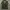 WW 2 Military Camo Jerman photo 2