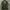 WW 2 Military Camo Jerman