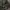 WW 2 Military Camo Jerman photo 4