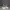 Michael Kors Streetwear Sneakers Wanita gray photo 2