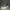 Michael Kors Streetwear Sneakers Wanita gray photo 1