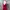 Moschino Cheap And Chic Women Red Dress