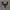 D2C shirt like y2k grunge emo goth vkei poem graphic photo 6