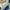 Adidas x stan smith photo 5