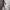 Massimo Dutti Brokat Women Midi Dress Summer Style photo 9