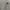 Adidas Streetwear Skater Sweater Pria gray photo 2