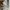 Adidas Streetwear Skater Sweater Pria gray photo 5