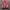 Authentic MSGM Floral Midi Dress photo 6