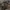 Jorts WW2 Military Camo Jerman photo 2