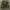 Jorts WW2 Military Camo Jerman photo 1