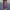 Uniform Plaid Skirt LP 74 P