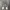 Nike Streetwear Sneakers Pria gray photo 6