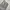 Dickies work pants - Grey photo 3