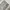 Dickies work pants - Grey photo 5
