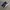 ADIDAS X9000L1 SECOND 42.5