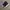 ADIDAS NIZZA HI SECOND 44.5 photo 1