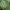 Mint Squareneck Long Coquette Morikei Y2K Fairy photo 3
