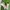 nike zoom fly 5  photo 4