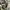 Coach Soho Small white mix Tan Leather photo 3
