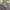 Coach bleecker canvas signature mix leather photo 3