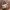 Coach bleecker canvas signature mix leather photo 1