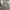 Coach bleecker canvas signature mix leather photo 4