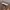 Coach bleecker canvas signature mix leather photo 5