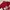 Vintage Casual Casual shirt Pria red photo 3