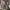 Clarks originals desert boots snakeskin cowhide effect photo 4