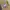 Clarks originals desert london tan leather photo 7