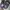 New balance all coasts 210 leopard pattern photo 5
