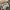 Converse chuck taylor all star high gray leather photo 5