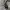 Converse chuck taylor all star high gray leather photo 4