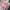 Vintage Babydoll dress Wanita white pink photo 2