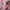 Vintage Babydoll dress Wanita white pink photo 4