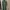 Sage green dress / gamis photo 1