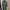 Sage Green Dress / Gamis