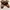 CATERPILLAR Utah Fur Made in Turkey photo 3