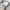Uniqlo Sweatpants Pria Wanita Pants Minimalist photo 4
