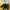 Sneakers Sketchers x Saurus kids photo 6