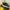 Sneakers Sketchers x Saurus kids photo 1