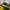 Sneakers Sketchers x Saurus kids photo 7