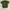 KAOS TSHIRT SANTA CRUZ SCREAMING HAND SKATEBOARD photo 1