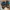 Adidas Superstar Kids Velcro Strap photo 3