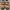 Adidas Superstar Kids Velcro Strap photo 1