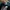 Adidas Adiprene Marathon tr10 photo 6