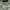 Goa Full Pattern T Shirt photo 5