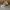 Converse Chuck Taylor All star Beauty & Youth photo 1