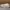 Converse Chuck Taylor All star Beauty & Youth photo 4
